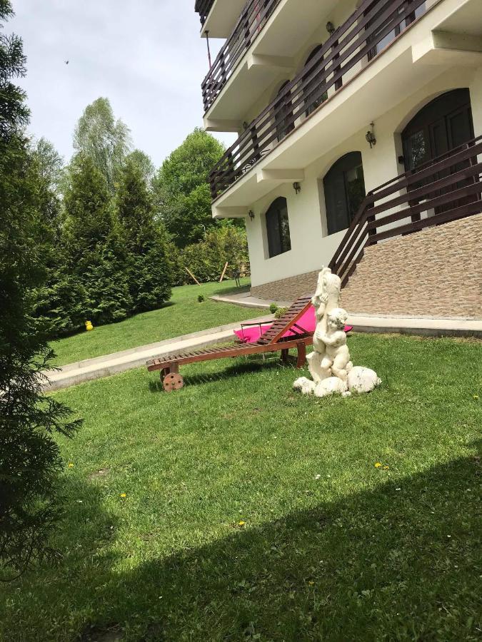 Vila Aldor Törcsvár Kültér fotó
